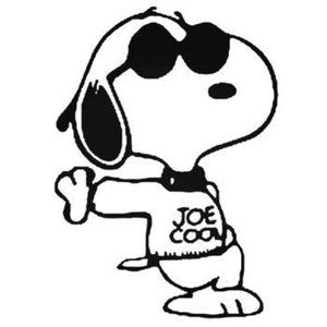 Meet your Posher, Joe